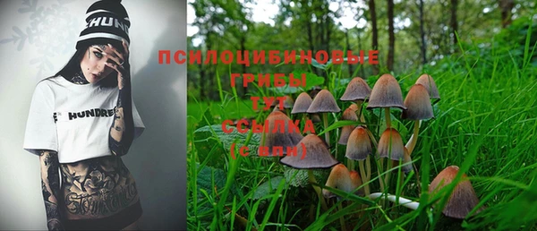 дживик Тайга